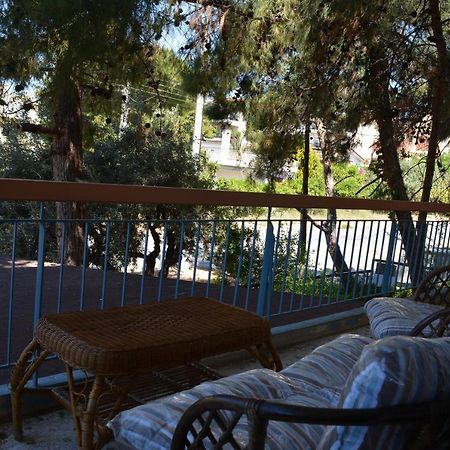 Spacious Apartment With Balconies, Ac, King Bed, Near Dt And Transports Athens Ngoại thất bức ảnh